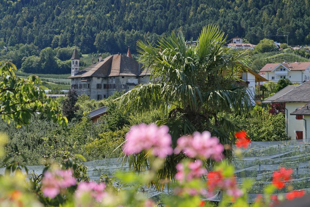 Felsenegg Hotel Nalles Quarto foto